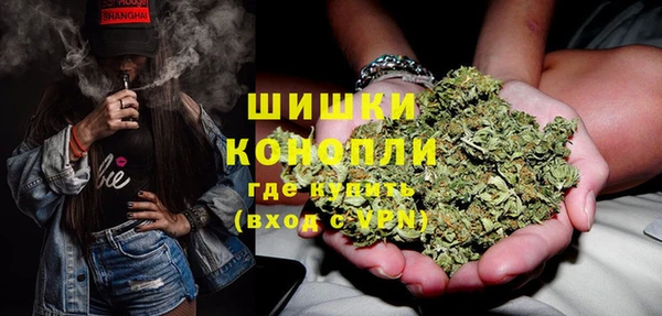 твердый Алзамай