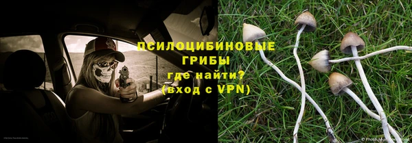 твердый Алзамай