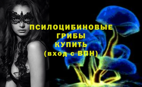 ALPHA PVP Алексин