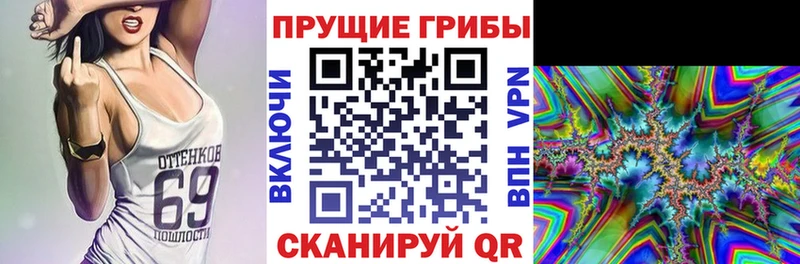 ОМГ ОМГ ссылка Анжеро-Судженск Галлюциногенные грибы Psilocybine cubensis